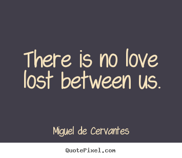Quotes about love - There is no love lost between us.
