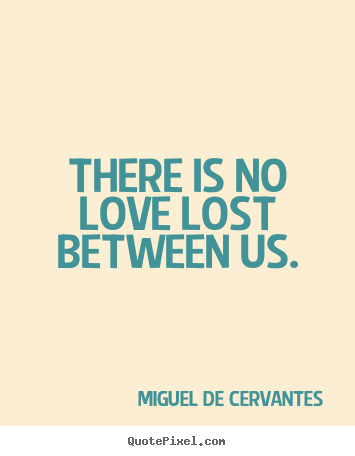 Quotes about love - There is no love lost between us.