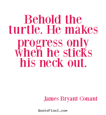 Success quotes - Behold the turtle. he makes progress only..