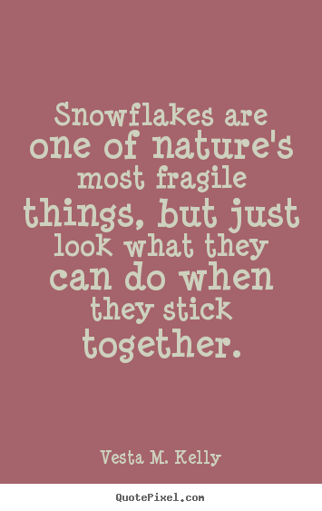 Vesta M. Kelly picture quotes - Snowflakes are one of nature's most fragile.. - Success quote